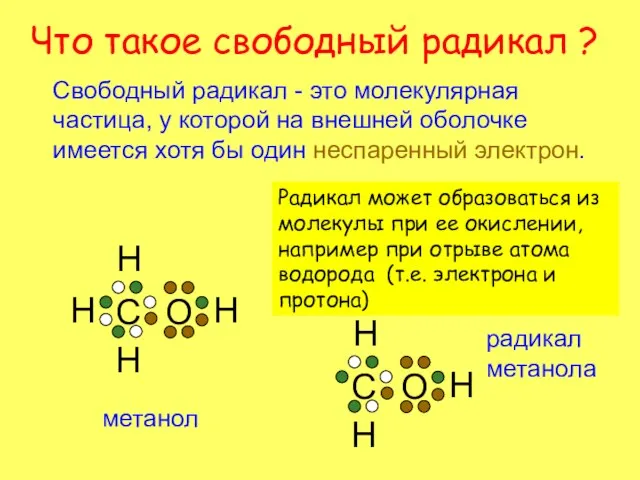 Что такое свободный радикал ? Свободный радикал - это молекулярная частица, у