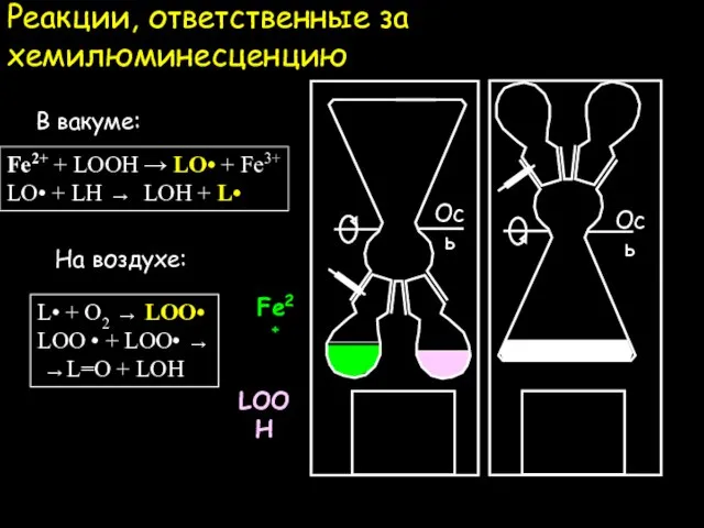 Реакции, ответственные за хемилюминесценцию