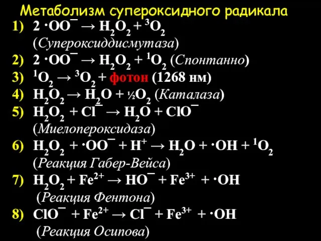 Метаболизм супероксидного радикала 2 ·OO¯ → H2O2 + 3O2 (Супероксиддисмутаза) 2 ·OO¯