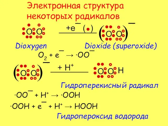 Электронная структура некоторых радикалов O2 + e¯ → ·OO¯ ·OO¯ + H+ → ·OOH