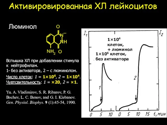 Активировированная ХЛ лейкоцитов Вспышка ХЛ при добавлении стимула к нейтрофилам. 1- без