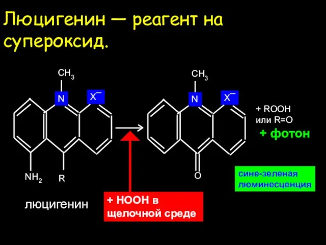 Люцигенин — реагент на супероксид. сине-зеленая люминесценция + ROOH или R=O +