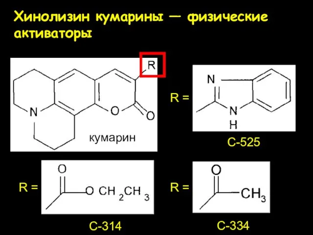 Хинолизин кумарины — физические активаторы