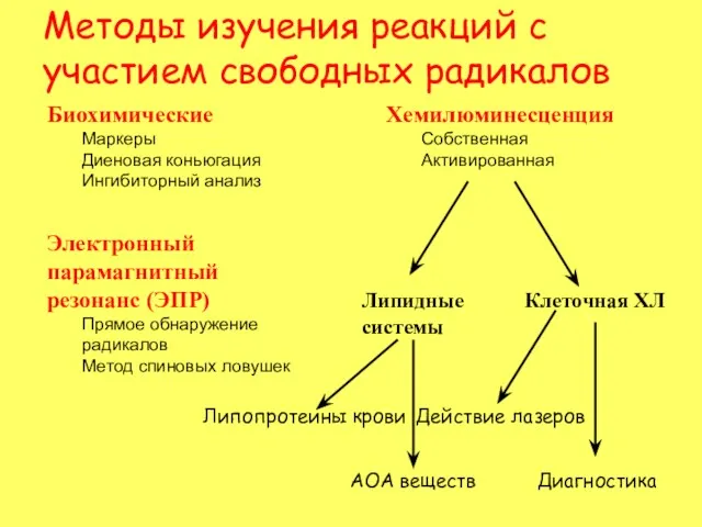 Биохимические Маркеры Диеновая коньюгация Ингибиторный анализ Электронный парамагнитный резонанс (ЭПР) Прямое обнаружение