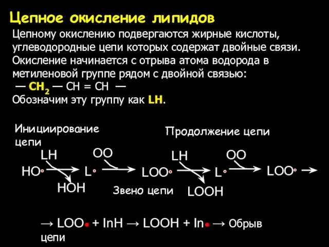 Цепное окисление липидов → LOO● + InH → LOOH + In● →