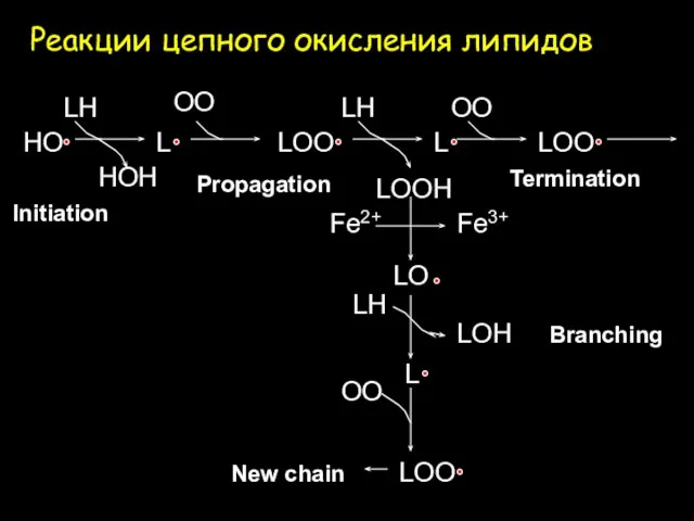 Реакции цепного окисления липидов