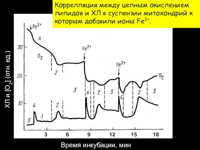 ХЛ и [O2] (отн. ед.) Время инкубации, мин 3 6 9 12