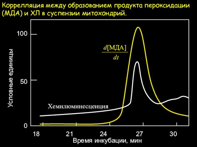 Коррелляция между образованием продукта пероксидации (МДА) и ХЛ в суспензии митохондрий. 100