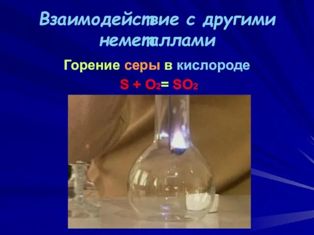 Взаимодействие с другими неметаллами Горение серы в кислороде S + O2= SO2 ВАСИЛИЙ КАДЕВИЧ 2008г.