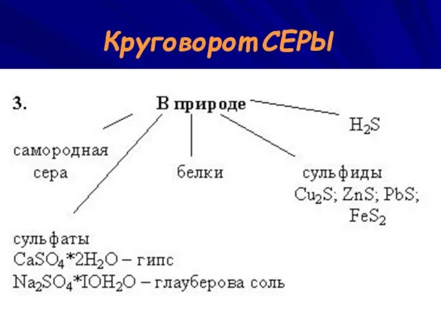 Круговорот СЕРЫ