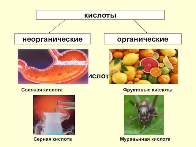 кислоты кислоты неорганические органические Соляная кислота Серная кислота Фруктовые кислоты Муравьиная кислота