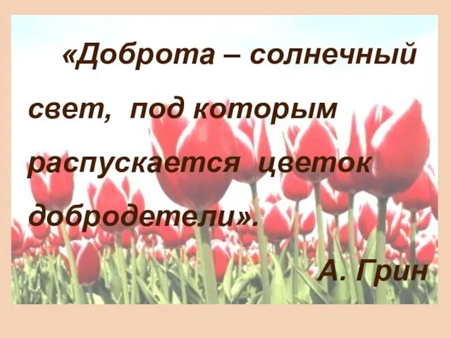 «Доброта – солнечный свет, под которым распускается цветок добродетели». А. Грин