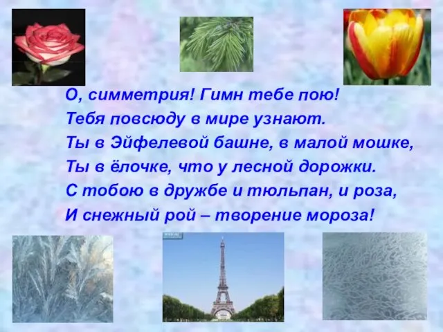 О, симметрия! Гимн тебе пою! Тебя повсюду в мире узнают. Ты в