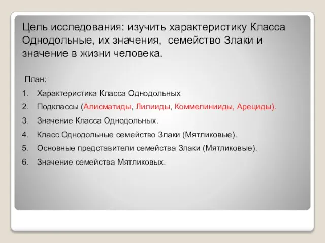 Цель исследования: изучить характеристику Класса Однодольные, их значения, семейство Злаки и значение