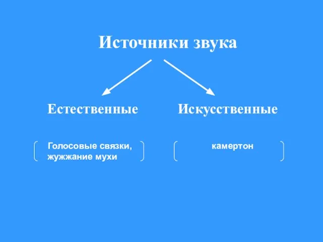 Источники звука Естественные Искусственные Голосовые связки, жужжание мухи камертон