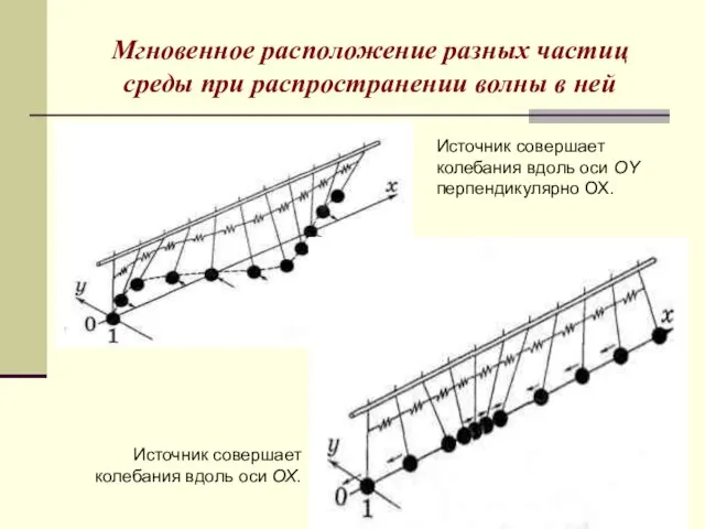 Мгновенное расположение разных частиц среды при распространении волны в ней Источник совершает