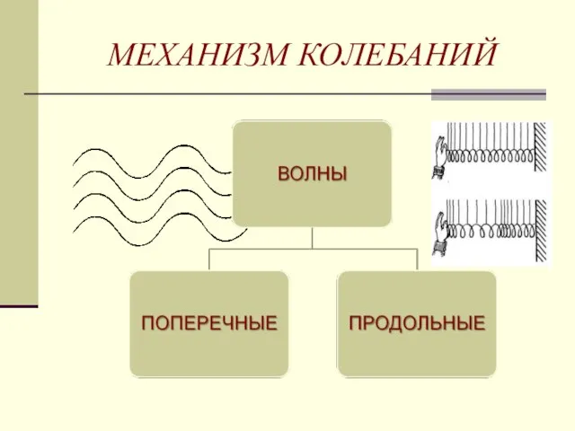 МЕХАНИЗМ КОЛЕБАНИЙ