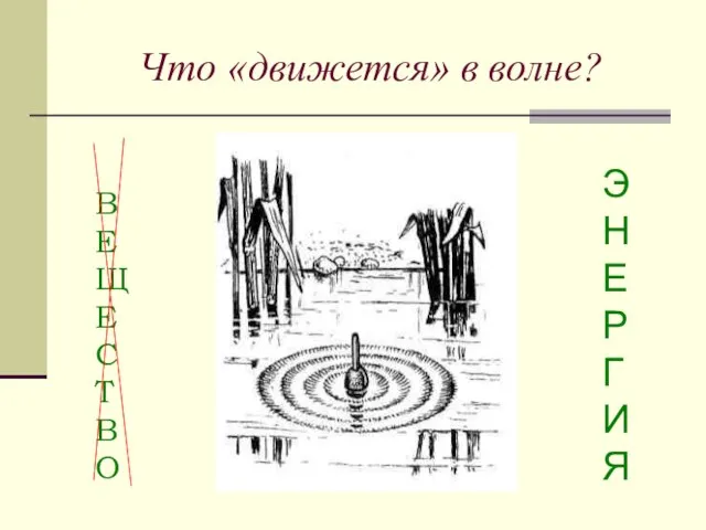 Что «движется» в волне? В Е Щ Е С Т В О