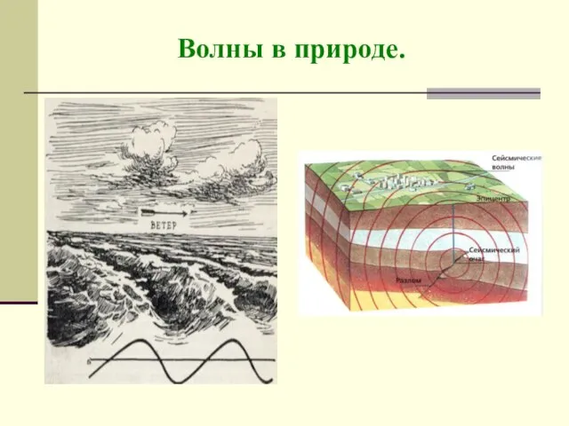 Волны в природе.