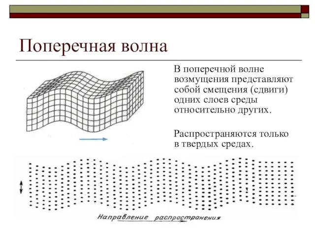 Поперечная волна В поперечной волне возмущения представляют собой смещения (сдвиги) одних слоев