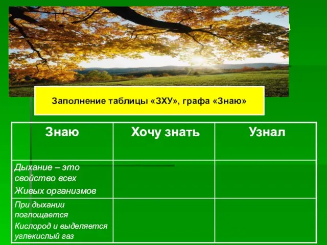 Заполнение таблицы «ЗХУ», графа «Знаю» Заполнение таблицы «ЗХУ», графа «Знаю»