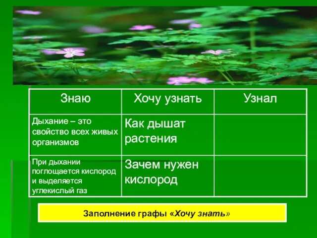 Заполнение графы «Хочу знать» Заполнение графы «Хочу знать»