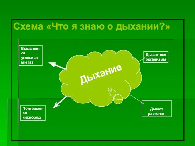 Схема «Что я знаю о дыхании?» Дыхание