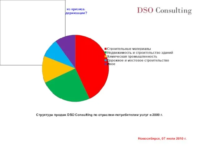 Структура продаж DSO Consulting по отраслям-потребителям услуг в 2009 г.