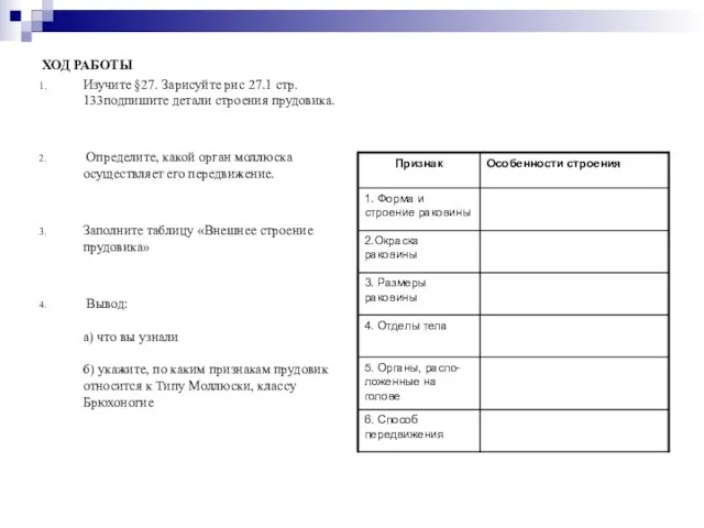 ХОД РАБОТЫ Изучите §27. Зарисуйте рис 27.1 стр. 133подпишите детали строения прудовика.