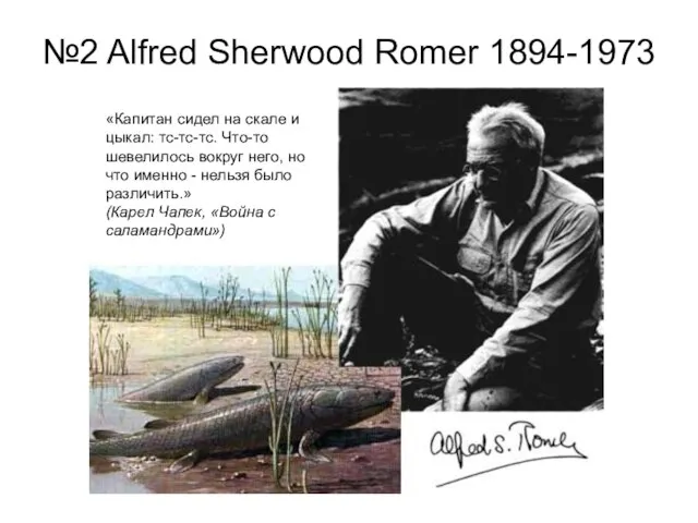 №2 Alfred Sherwood Romer 1894-1973 «Капитан сидел на скале и цыкал: тс-тс-тс.