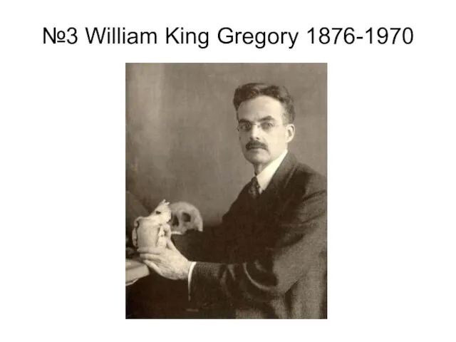 №3 William King Gregory 1876-1970