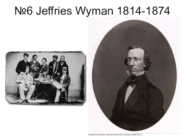 №6 Jeffries Wyman 1814-1874