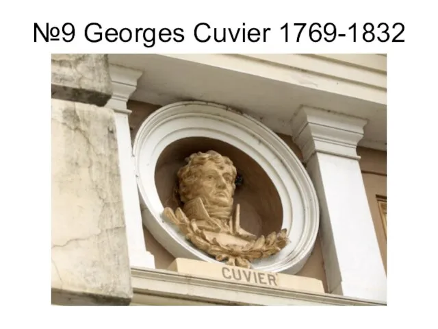 №9 Georges Cuvier 1769-1832