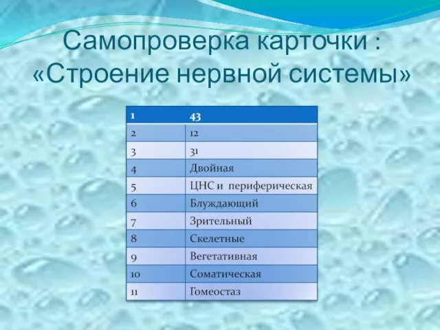 Самопроверка карточки : «Строение нервной системы»