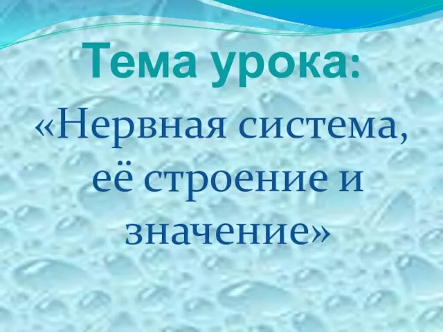 Тема урока: «Нервная система, её строение и значение»