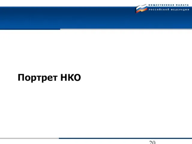 Портрет НКО