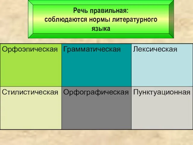 Речь правильная: соблюдаются нормы литературного языка