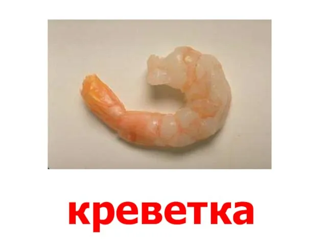 креветка Креветка