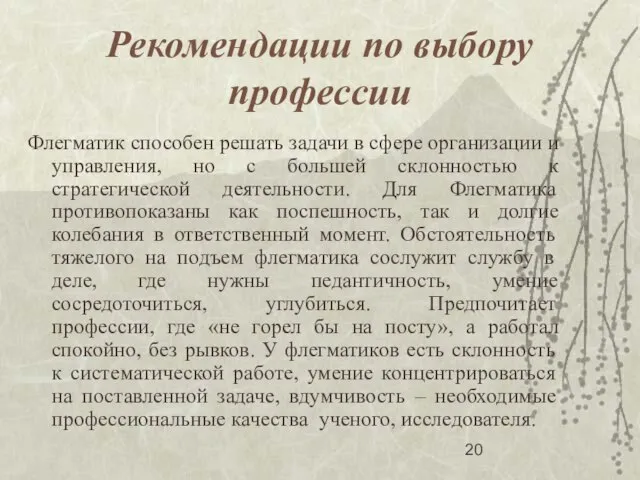 Рекомендации по выбору профессии Флегматик способен решать задачи в сфере организации и