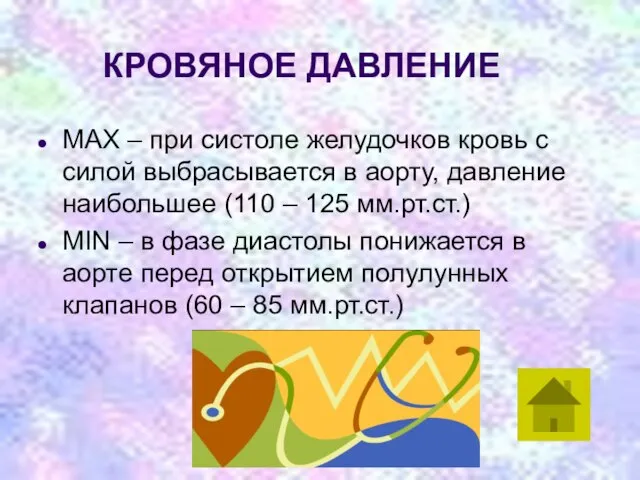 КРОВЯНОЕ ДАВЛЕНИЕ MAX – при систоле желудочков кровь с силой выбрасывается в