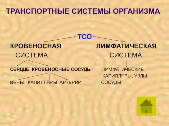 ТРАНСПОРТНЫЕ СИСТЕМЫ ОРГАНИЗМА ТСО КРОВЕНОСНАЯ ЛИМФАТИЧЕСКАЯ СИСТЕМА СИСТЕМА СЕРДЦЕ КРОВЕНОСНЫЕ СОСУДЫ ЛИМФАТИЧЕСКИЕ