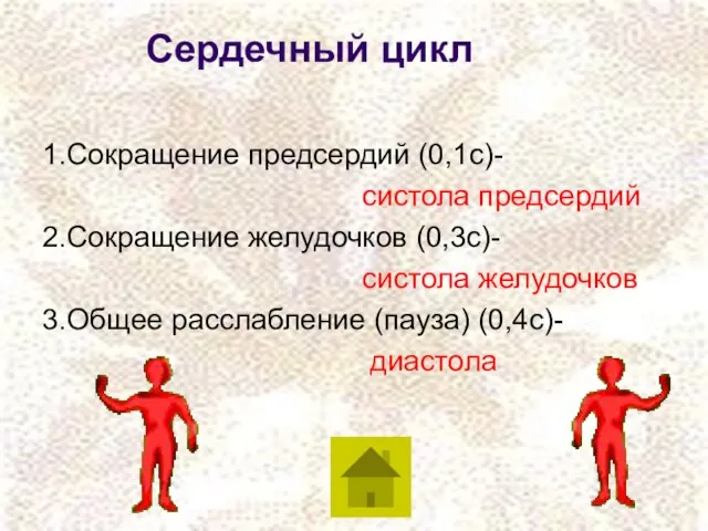 Сердечный цикл 1.Сокращение предсердий (0,1с)- систола предсердий 2.Сокращение желудочков (0,3с)- систола желудочков