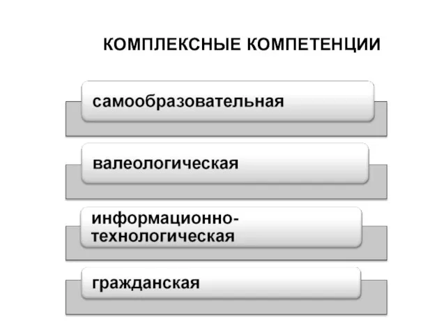 КОМПЛЕКСНЫЕ КОМПЕТЕНЦИИ