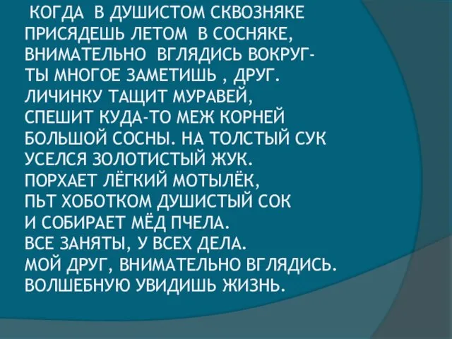 КОГДА В ДУШИСТОМ СКВОЗНЯКЕ ПРИСЯДЕШЬ ЛЕТОМ В СОСНЯКЕ, ВНИМАТЕЛЬНО ВГЛЯДИСЬ ВОКРУГ- ТЫ