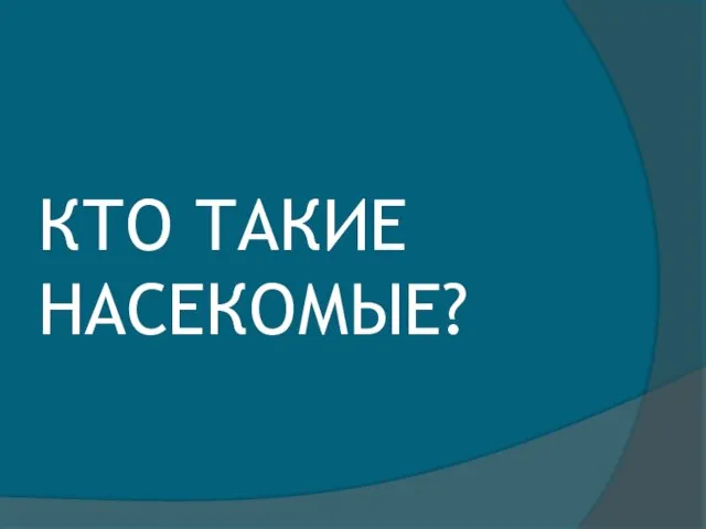 КТО ТАКИЕ НАСЕКОМЫЕ?