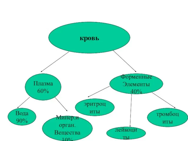 кровь Плазма 60% Форменные Элементы 40% Вода 90% Минер.и орган. Вещества 10% эритроциты лейкоциты тромбоциты