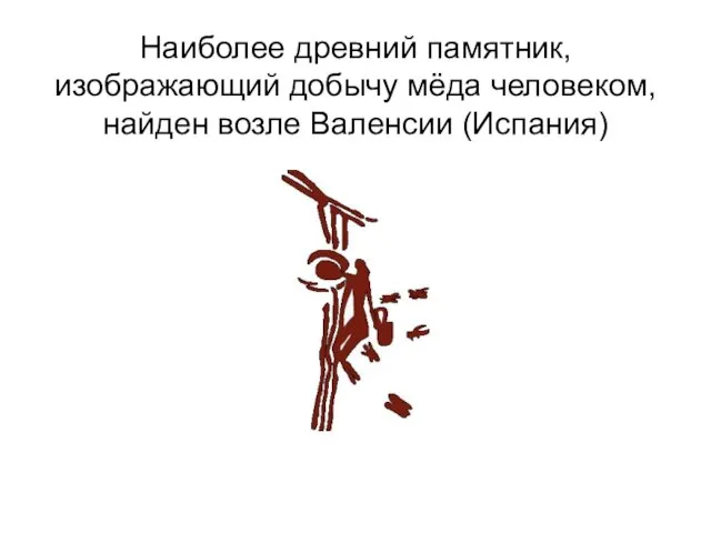 Наиболее древний памятник, изображающий добычу мёда человеком, найден возле Валенсии (Испания)