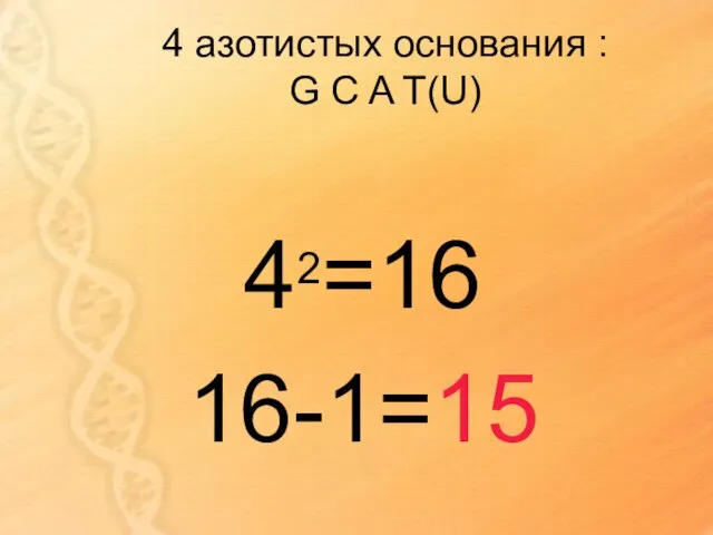 4 азотистых основания : G C A T(U) 42=16 16-1=15