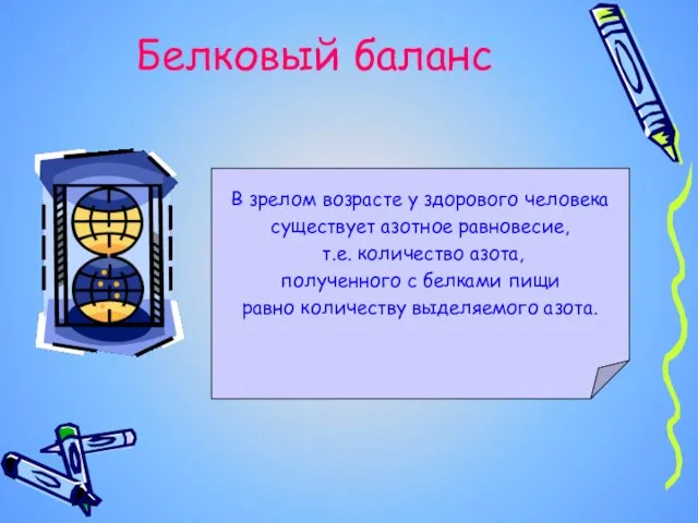 Белковый баланс В зрелом возрасте у здорового человека существует азотное равновесие, т.е.