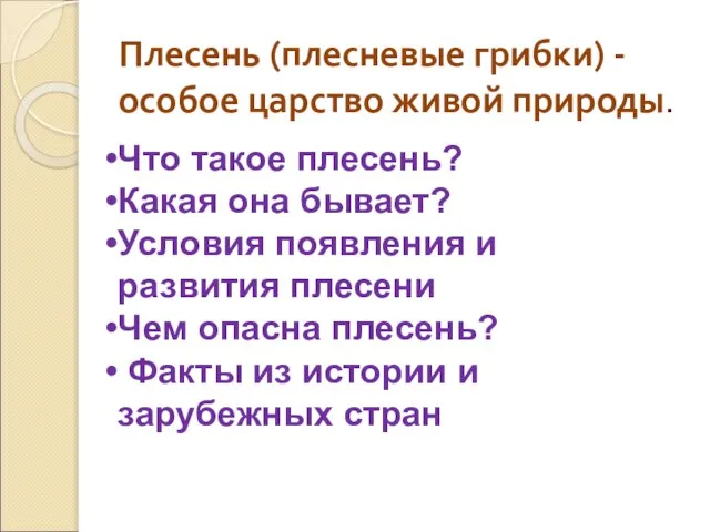 Плесень (плесневые грибки) - особое царство живой природы. Что такое плесень? Какая